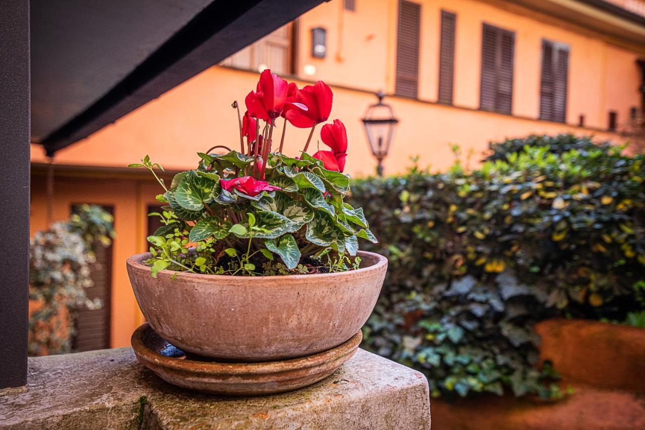 Cosy Studio In The Greenest Corner Of Trastevere Roma Exterior foto